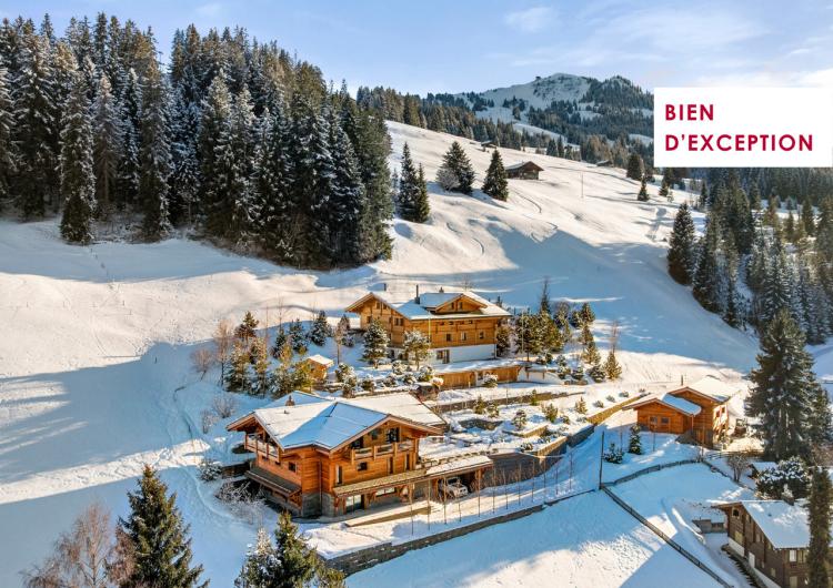 Un'occasione da non perdere! Proprietà di lusso con accesso diretto alle piste da sci.