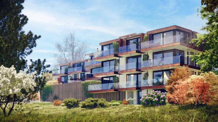 5CSen_kaban-bien-6166395.jpg