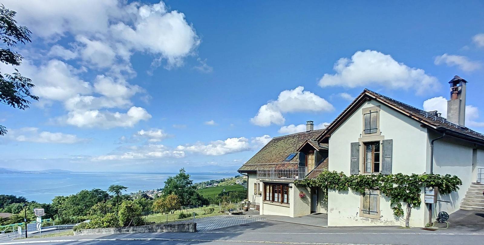 Spaziosa vecchia casa di viticoltore