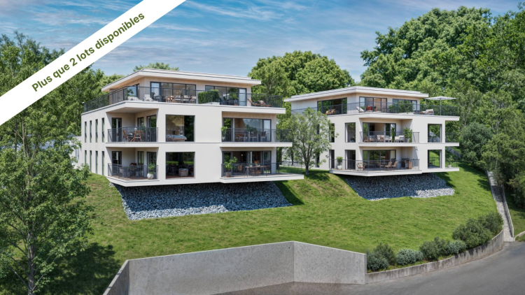 Superbe appartement de 4.5 pièces avec jardin