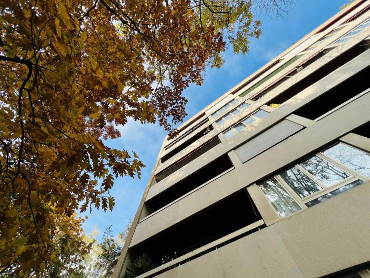 Monolocale di 31 mq affittato