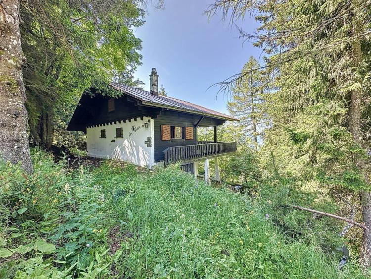 Una vera oasi di pace! Chalet di 3,5 locali vicino al Col de Jaman