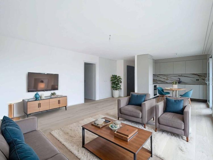 LAST LOT: New MINERGIE penthouse with panoramic view 