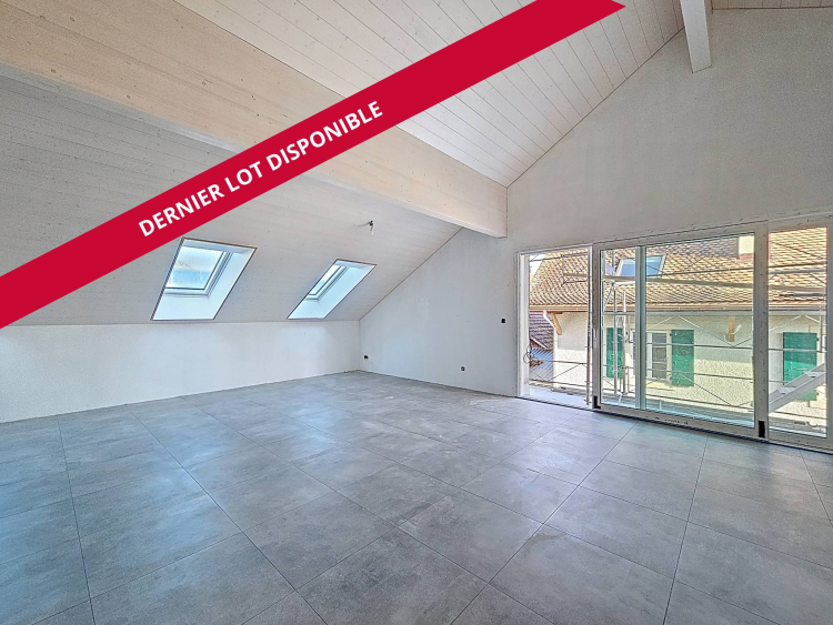 Neue 3,5 Zimmerwohnung mit Terrasse