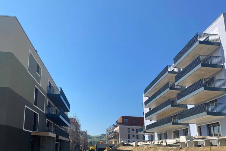 FTZQI_kaban-bien-5137027.jpg