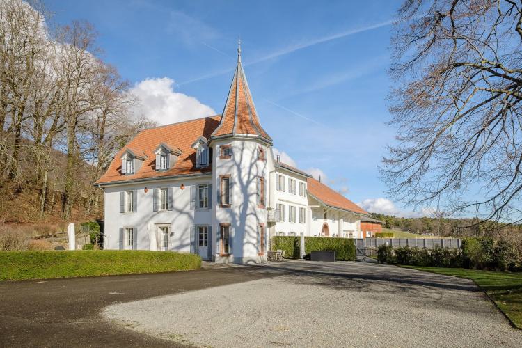 Une vie de château au coeur de la nature avec vue sur le lac 