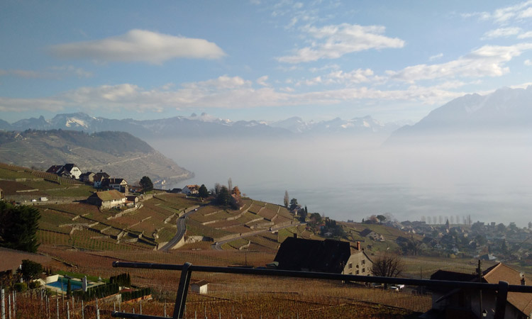 Lavaux lac