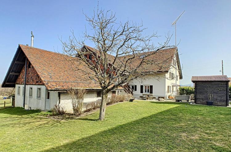 Vecchia fattoria da ristrutturare