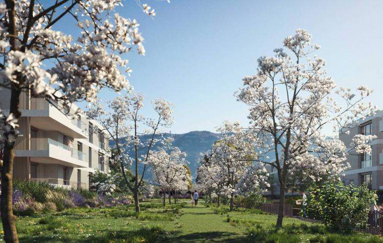 kaban-bien-5123517.jpg
