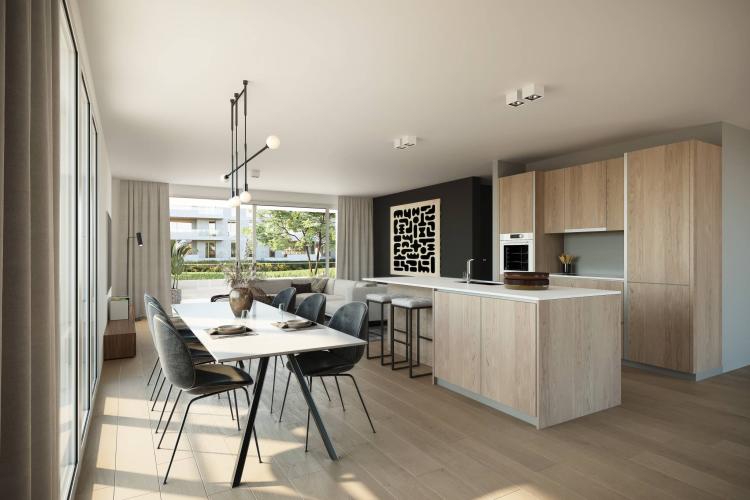 kaban-bien-5123811.jpg