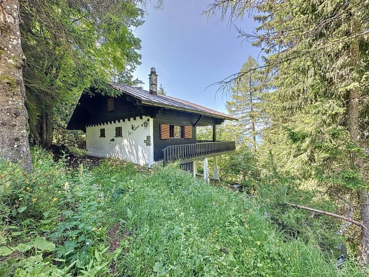 A True Haven of Peace! 3.5-Room Chalet Near Col de Jaman