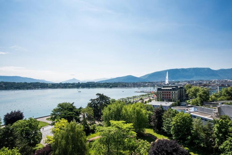 Sublime appartamento prestigioso con vista sul getto d'acqua