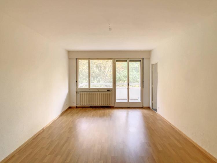 Vendita nel SI. Piacevole 1,5 locali nel quartiere Florissant