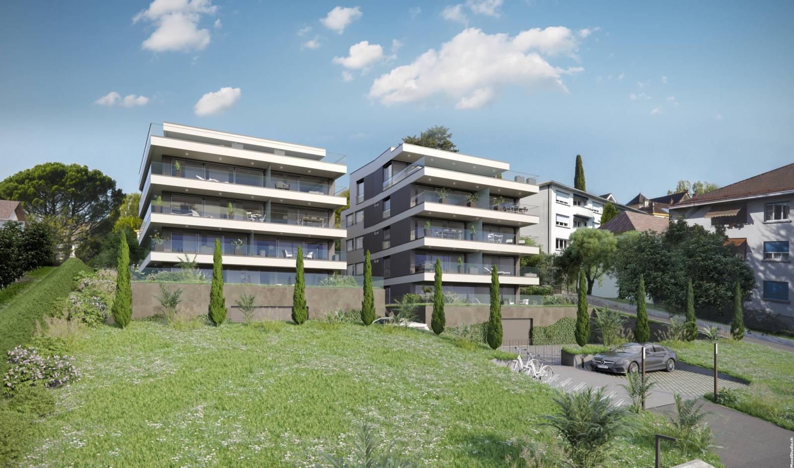 Licenza in vigore - Ultimi 2,5 pezzi (C'14)