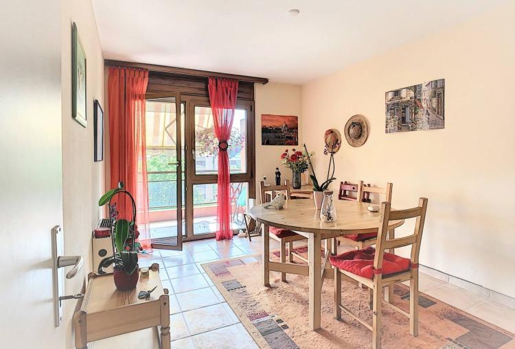 Nj0Fz_kaban-bien-5128117.jpg