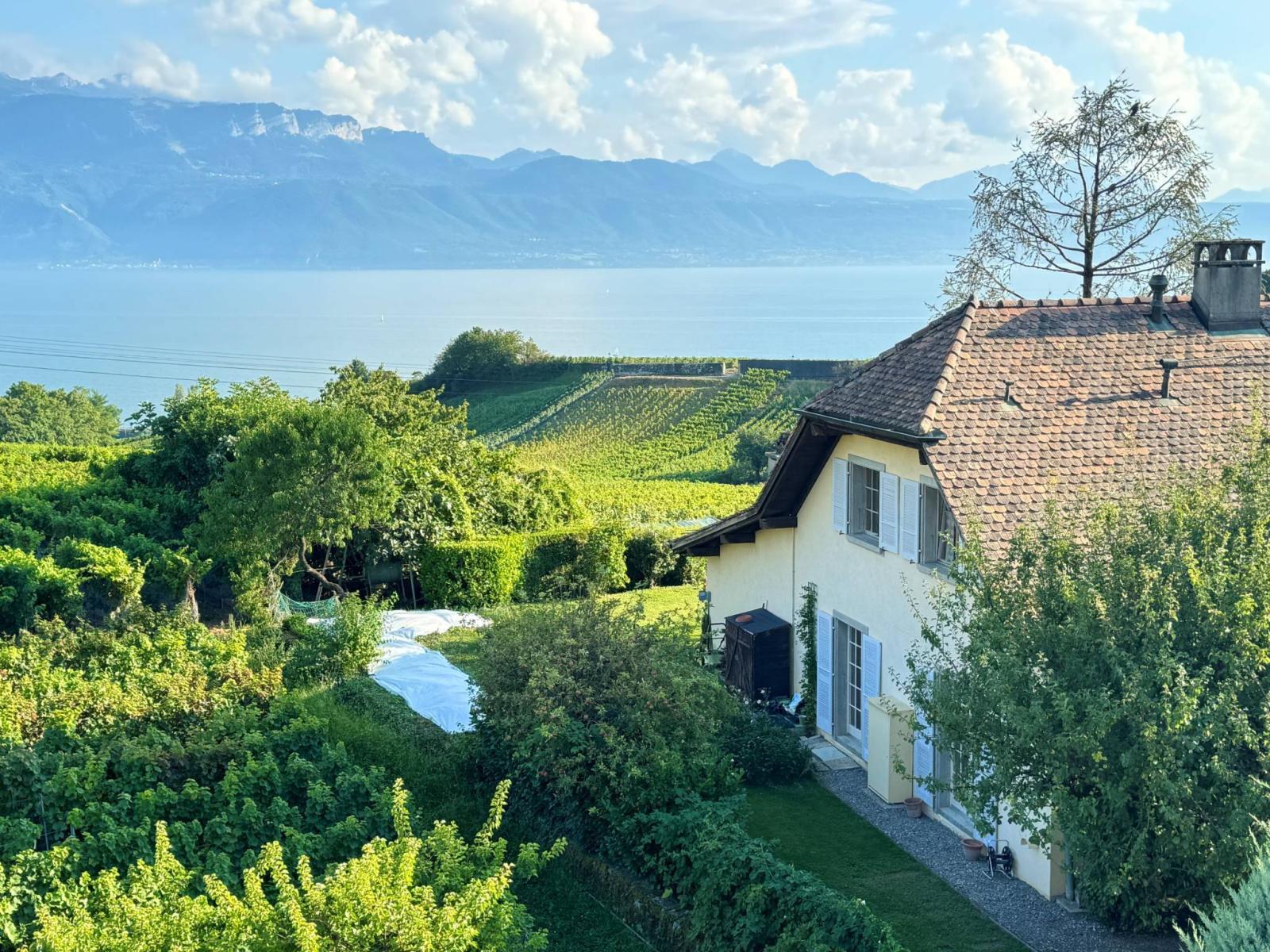 Belles villas Lavaux