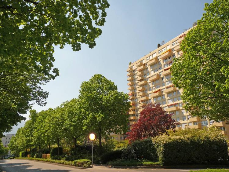 Bellissimo appartamento di 3 locali