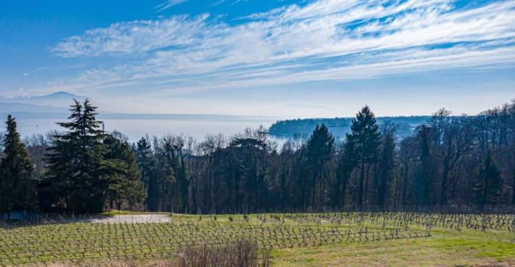 Exceptional property with panoramic lake views