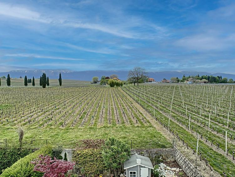uH993_kaban-bien-5122750-6acf395d896e6.jpg