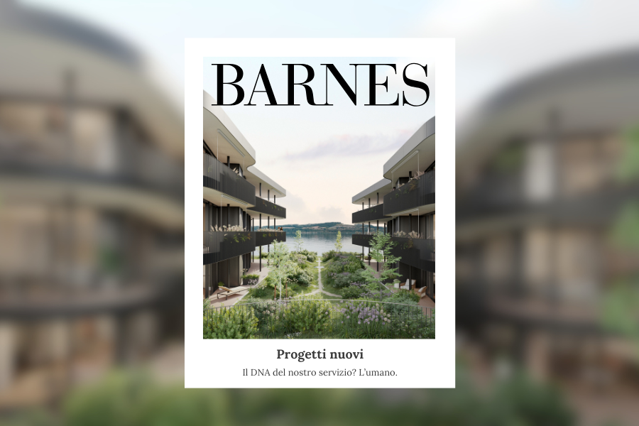 BARNES Magazine Svizzera #20 : Progetti nuovi