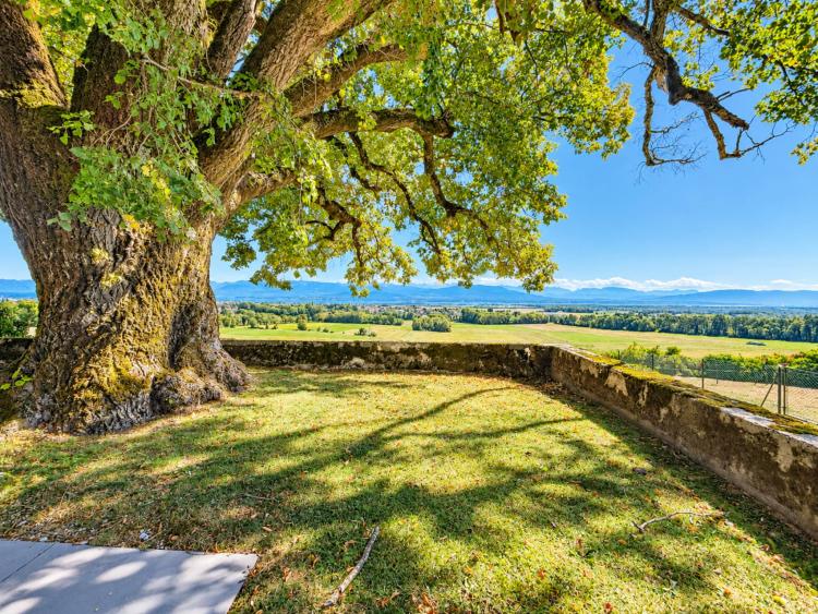 Una vita di lusso nel cuore della natura con vista sul lago 
